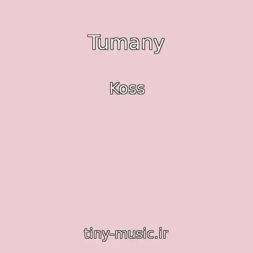 کاور آهنگ Tumany از Koss