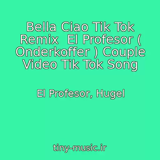 کاور آهنگ Bella Ciao Tik Tok Remix  El Profesor ( Onderkoffer ) Couple Video Tik Tok Song از El Profesor, Hugel