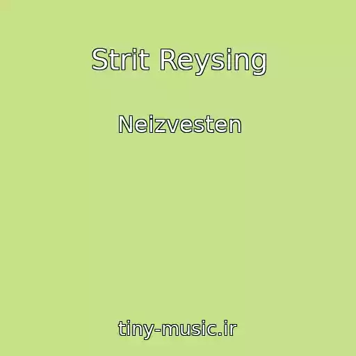 کاور آهنگ Strit Reysing از Neizvesten