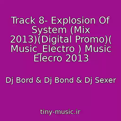 کاور آهنگ Track 8- Explosion Of System (Mix 2013)(Digital Promo)( Music_Electro ) Music Elecro 2013 از Dj Bord & Dj Bond & Dj Sexer