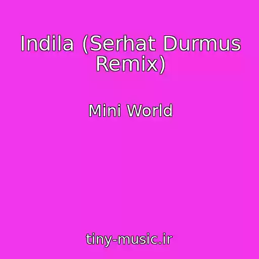کاور آهنگ Indila (Serhat Durmus Remix) از Mini World