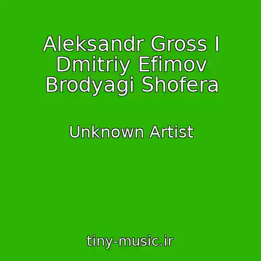 کاور آهنگ Aleksandr Gross I Dmitriy Efimov Brodyagi Shofera از Unknown Artist