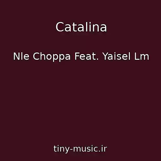 کاور آهنگ Catalina از Nle Choppa Feat. Yaisel Lm