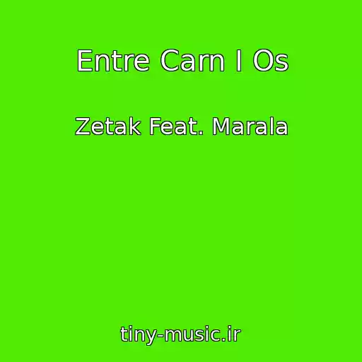 کاور آهنگ Entre Carn I Os از Zetak Feat. Marala