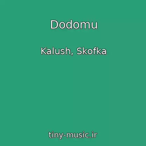 کاور آهنگ Dodomu از Kalush, Skofka