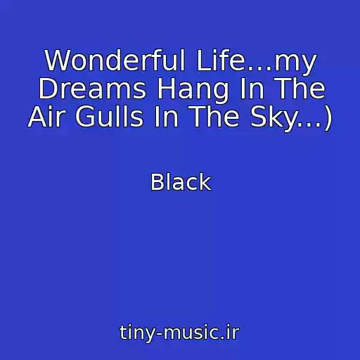 کاور آهنگ Wonderful Life...my Dreams Hang In The Air Gulls In The Sky...) از Black