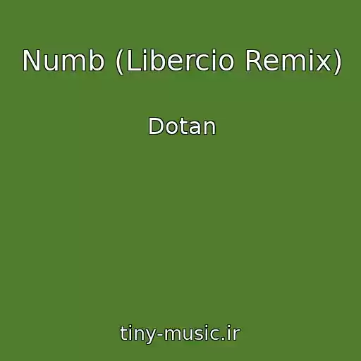 کاور آهنگ Numb (Libercio Remix) از Dotan