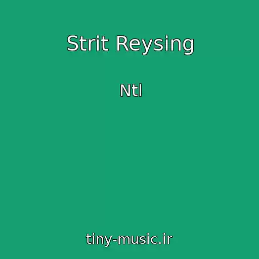 کاور آهنگ Strit Reysing از Ntl