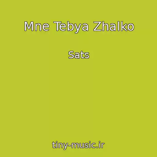 کاور آهنگ Mne Tebya Zhalko از Sats