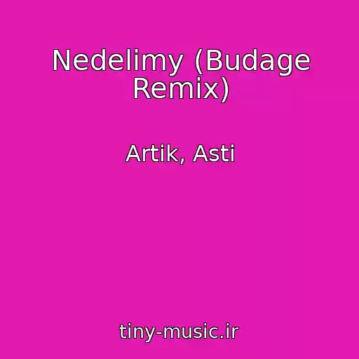 کاور آهنگ Nedelimy (Budage Remix) از Artik, Asti
