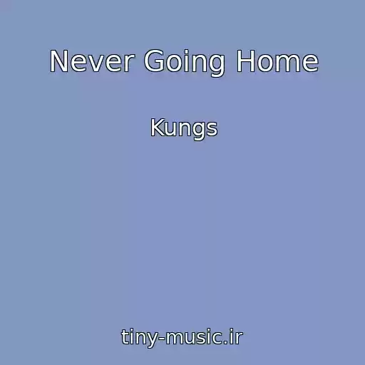 کاور آهنگ Never Going Home از Kungs
