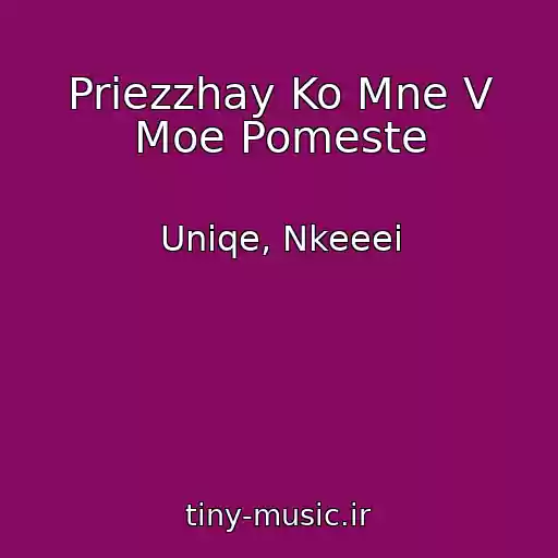کاور آهنگ Priezzhay Ko Mne V Moe Pomeste از Uniqe, Nkeeei