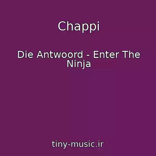 کاور آهنگ Chappi از Die Antwoord - Enter The Ninja
