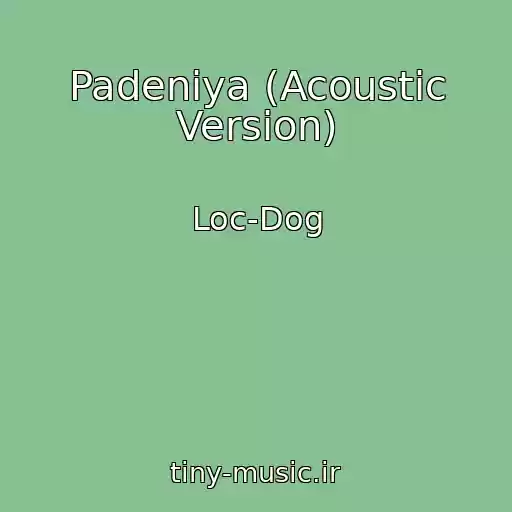 کاور آهنگ Padeniya (Acoustic Version) از Loc-Dog