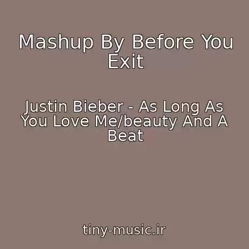 کاور آهنگ Mashup By Before You Exit از Justin Bieber - As Long As You Love Me/beauty And A Beat