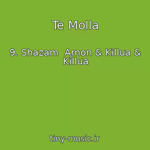 کاور آهنگ Te Molla از 9. Shazam  Arnon & Killua & Killua