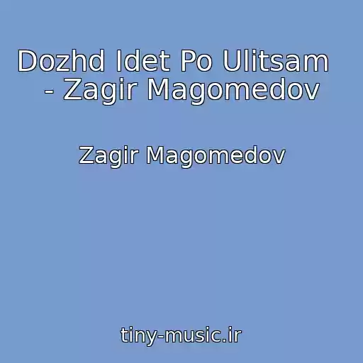 کاور آهنگ Dozhd Idet Po Ulitsam    - Zagir Magomedov از Zagir Magomedov
