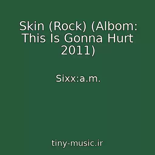 کاور آهنگ Skin (Rock) (Albom: This Is Gonna Hurt 2011) از Sixx:a.m.