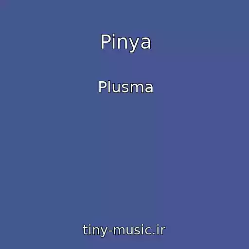 کاور آهنگ Pinya از Plusma
