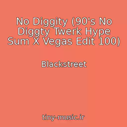 کاور آهنگ No Diggity (90's No Diggty Twerk Hype Sum X Vegas Edit 100) از Blackstreet
