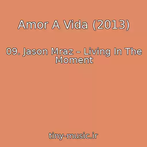 کاور آهنگ Amor A Vida (2013) از 09. Jason Mraz – Living In The Moment