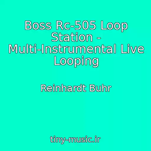کاور آهنگ Boss Rc-505 Loop Station - Multi-Instrumental Live Looping از Reinhardt Buhr