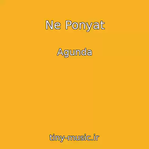 کاور آهنگ Ne Ponyat از Agunda
