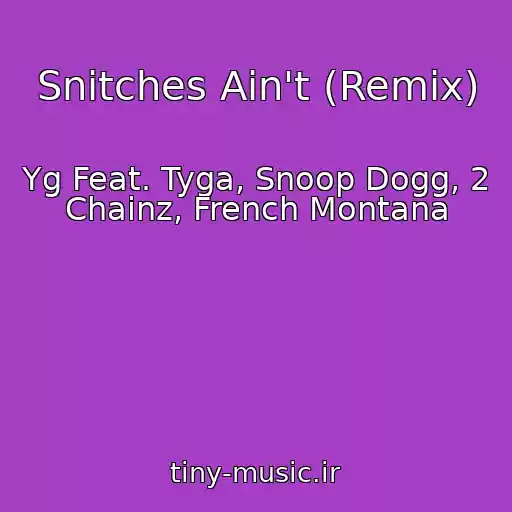 کاور آهنگ Snitches Ain't (Remix) از Yg Feat. Tyga, Snoop Dogg, 2 Chainz, French Montana