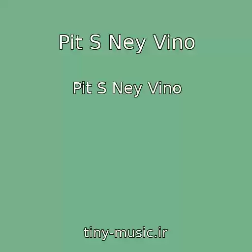 کاور آهنگ Pit S Ney Vino از Pit S Ney Vino