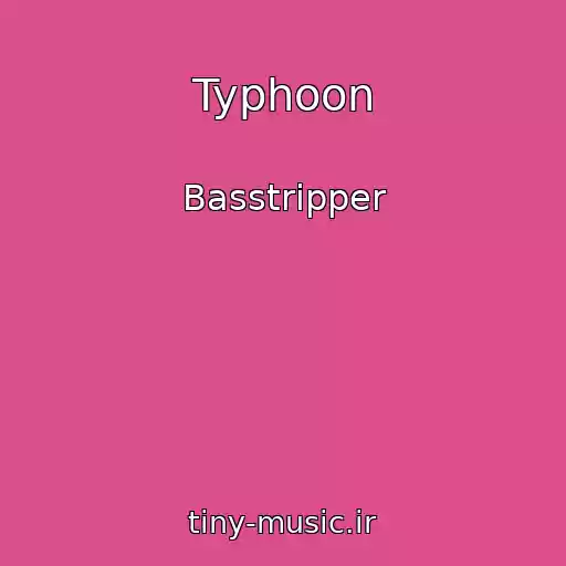 کاور آهنگ Typhoon از Basstripper