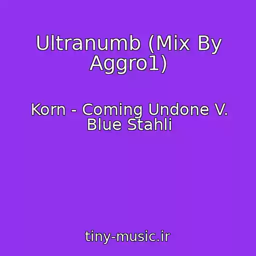 کاور آهنگ Ultranumb (Mix By Aggro1) از Korn - Coming Undone V. Blue Stahli