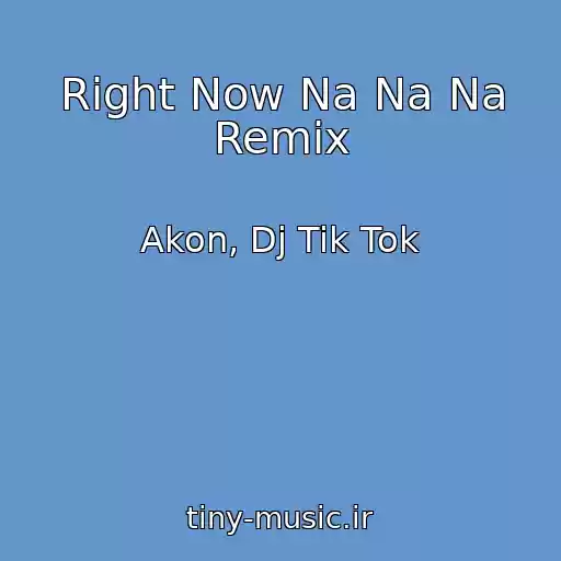 کاور آهنگ Right Now Na Na Na Remix از Akon, Dj Tik Tok