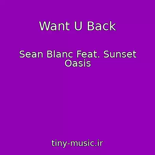 کاور آهنگ Want U Back از Sean Blanc Feat. Sunset Oasis