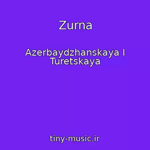 کاور آهنگ Zurna از Azerbaydzhanskaya I Turetskaya