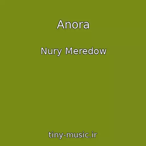 کاور آهنگ Anora از Nury Meredow