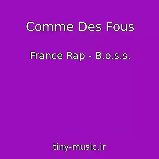 کاور آهنگ Comme Des Fous از France Rap - B.o.s.s.