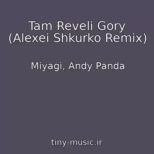 کاور آهنگ Tam Reveli Gory (Alexei Shkurko Remix) از Miyagi, Andy Panda