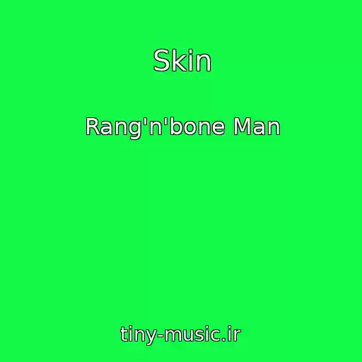 کاور آهنگ Skin از Rang'n'bone Man