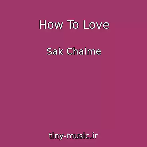 کاور آهنگ How To Love از Sak Chaime