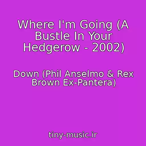 کاور آهنگ Where I'm Going (A Bustle In Your Hedgerow - 2002) از Down (Phil Anselmo & Rex Brown Ex-Pantera)
