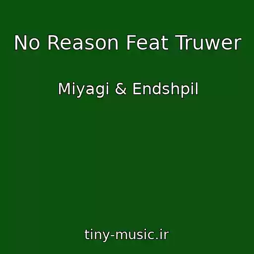 کاور آهنگ No Reason Feat Truwer از Miyagi & Endshpil
