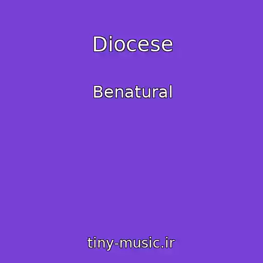 کاور آهنگ Diocese از Benatural
