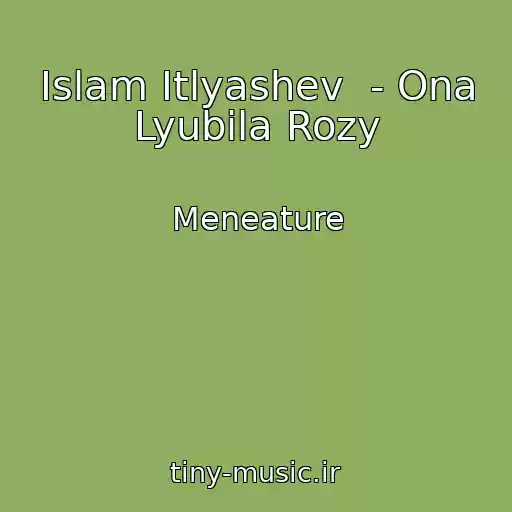 کاور آهنگ Islam Itlyashev  - Ona Lyubila Rozy از Meneature
