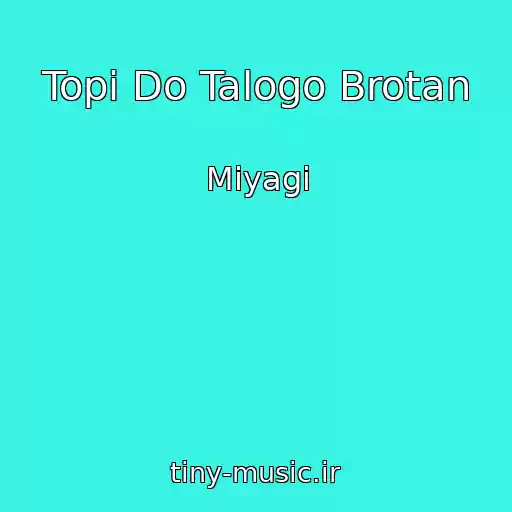 کاور آهنگ Topi Do Talogo Brotan از Miyagi