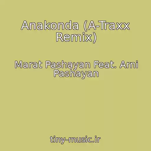 کاور آهنگ Anakonda (A-Traxx Remix) از Marat Pashayan Feat. Arni Pashayan
