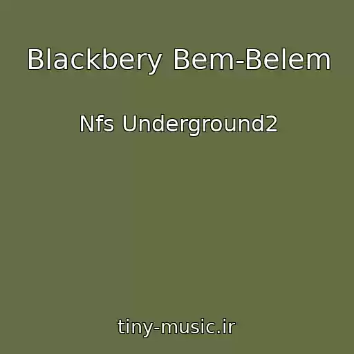 کاور آهنگ Blackbery Bem-Belem از Nfs Underground2