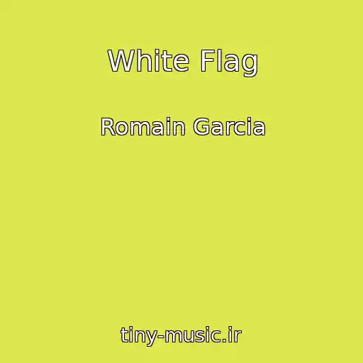 کاور آهنگ White Flag از Romain Garcia