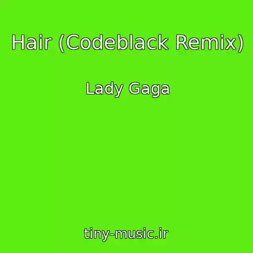 کاور آهنگ Hair (Codeblack Remix) از Lady Gaga