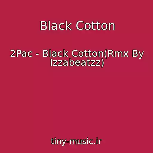 کاور آهنگ Black Cotton از 2Pac - Black Cotton(Rmx By Izzabeatzz)