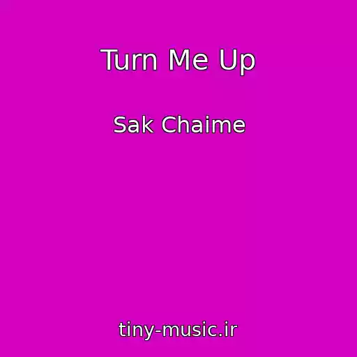 کاور آهنگ Turn Me Up از Sak Chaime